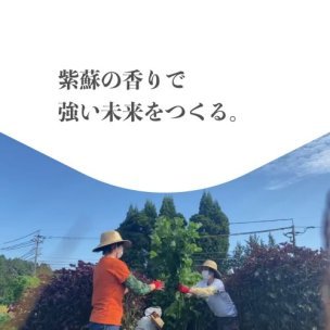 【代表コラム No.1】HERBAL8の香りの特徴について