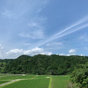 脳に直接届く、富山の「生きた」香り。デジタル疲れの時代に、呼吸の質を変える。